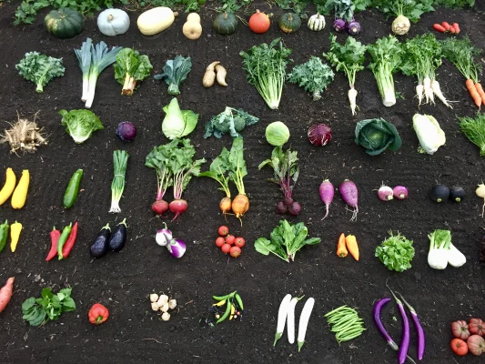 Afbeelding Boerderijwinkel de Horsterhof