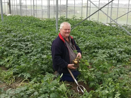 Afbeelding Power to the pieper