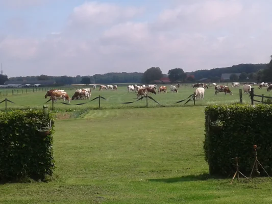 Afbeelding 't Schuurke van het Buurke