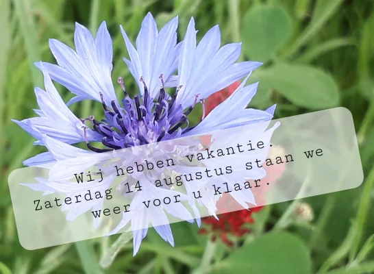 Afbeelding Emma's Land