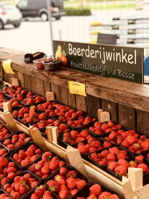 Afbeelding Fruitteeltbedrijf Van den Bosse