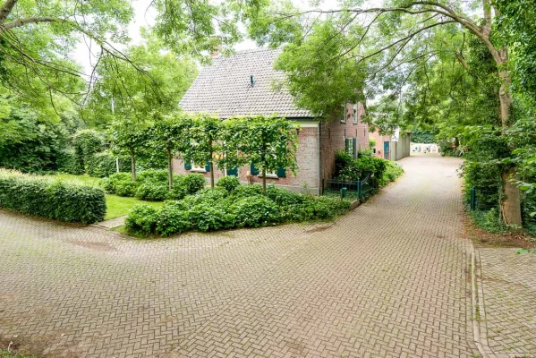 Afbeelding Piet van Meintjeshoeve