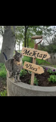 Afbeelding Melktap en vlees van melkveebedrijf Koskamp