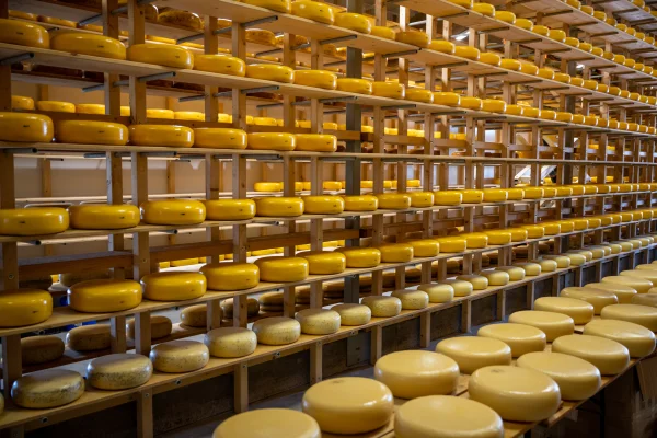 Afbeelding Booij Kaasmakers