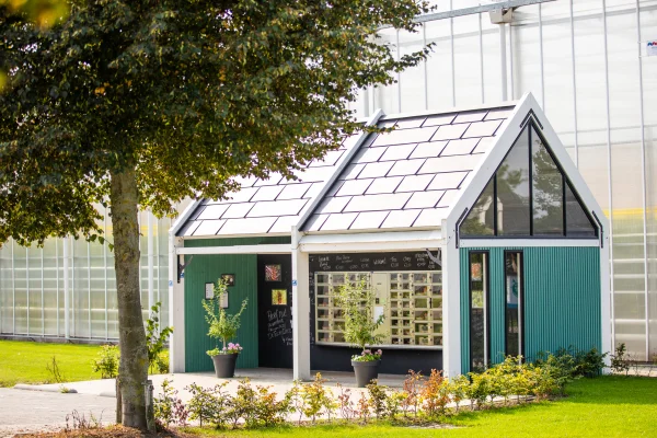 Afbeelding Het Tomatenhutje