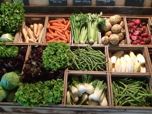 Afbeelding Biologische Tuinderij de Elzenkamp