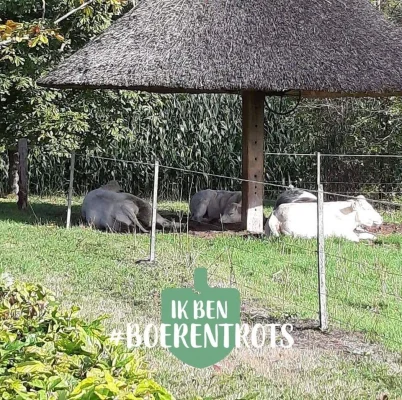 Afbeelding Vleesboerderij KempenLust