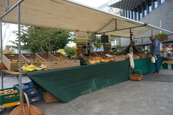 Afbeelding Biologische Tuinderij de Elzenkamp - Boerenmarkt Eemplein Amersfoort