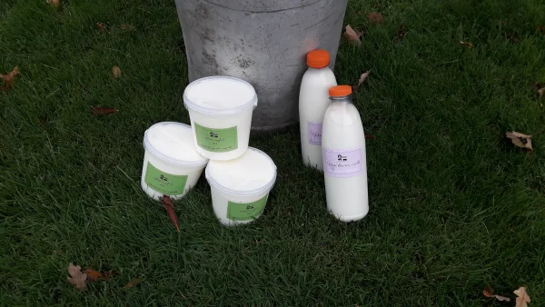 Afbeelding Zegveldse Zuivel