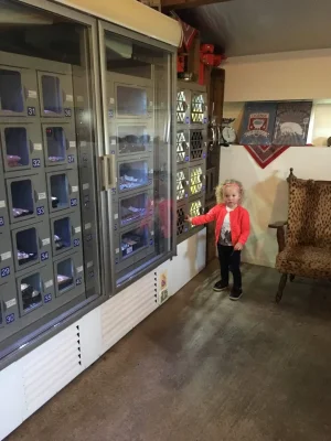 Afbeelding Elfrahoeve