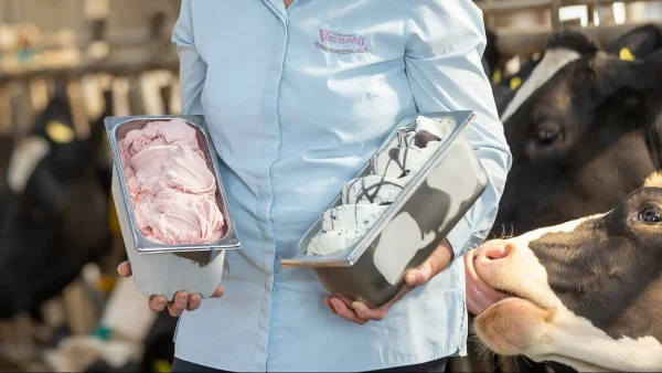 Afbeelding IJsboerderij Vernooij