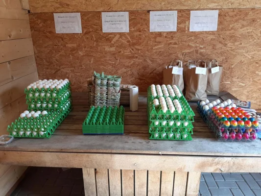 Afbeelding Het Eierhokkie