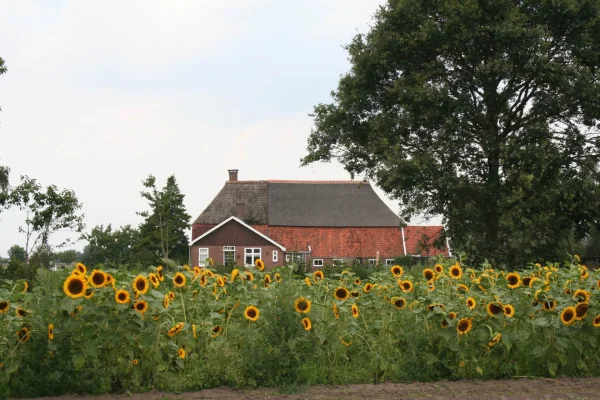 Afbeelding Korenblik, biologische boerderijwinkel