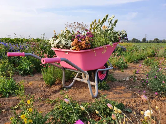 Afbeelding Boerderij Hof van Heden