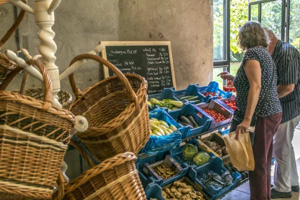 Afbeelding Voedselbron Graauw