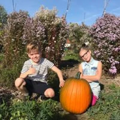 Afbeelding Plukhoek Mookhoek