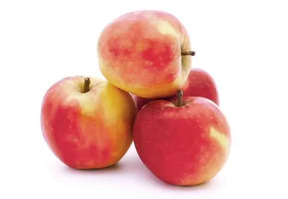 Productfoto Aardappelen zak, 10kg