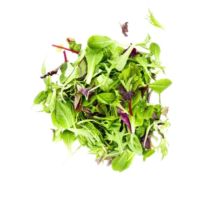 Productfoto Bladsla, 125 gram