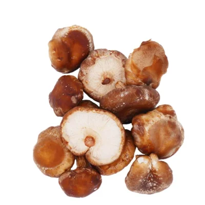 Productfoto Shiitake 100 gram