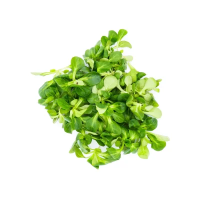 Productfoto Veldsla, 100 gram