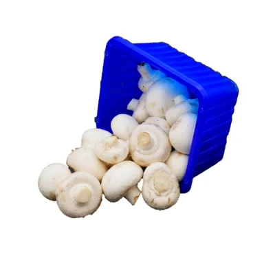 Productfoto Champignons, 250 gram