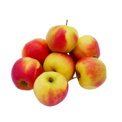 Productfoto Appels Elstar klein
1 kg