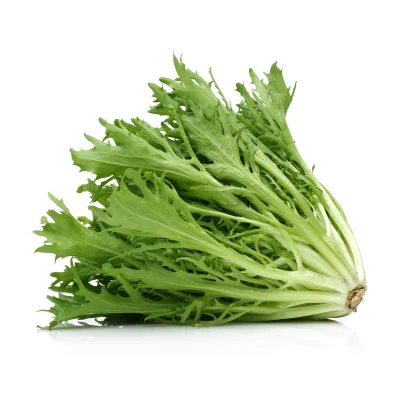 Productfoto Frisee sla, per stuk