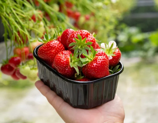 Productfoto Aardbeien