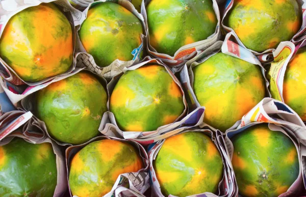 Productfoto Papaya